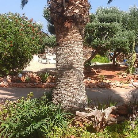 Chalet Atalants Yailja Alcossebre المظهر الخارجي الصورة